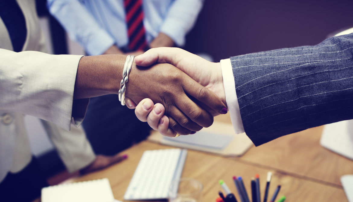 handshake of an african american executive and a caucasian executive