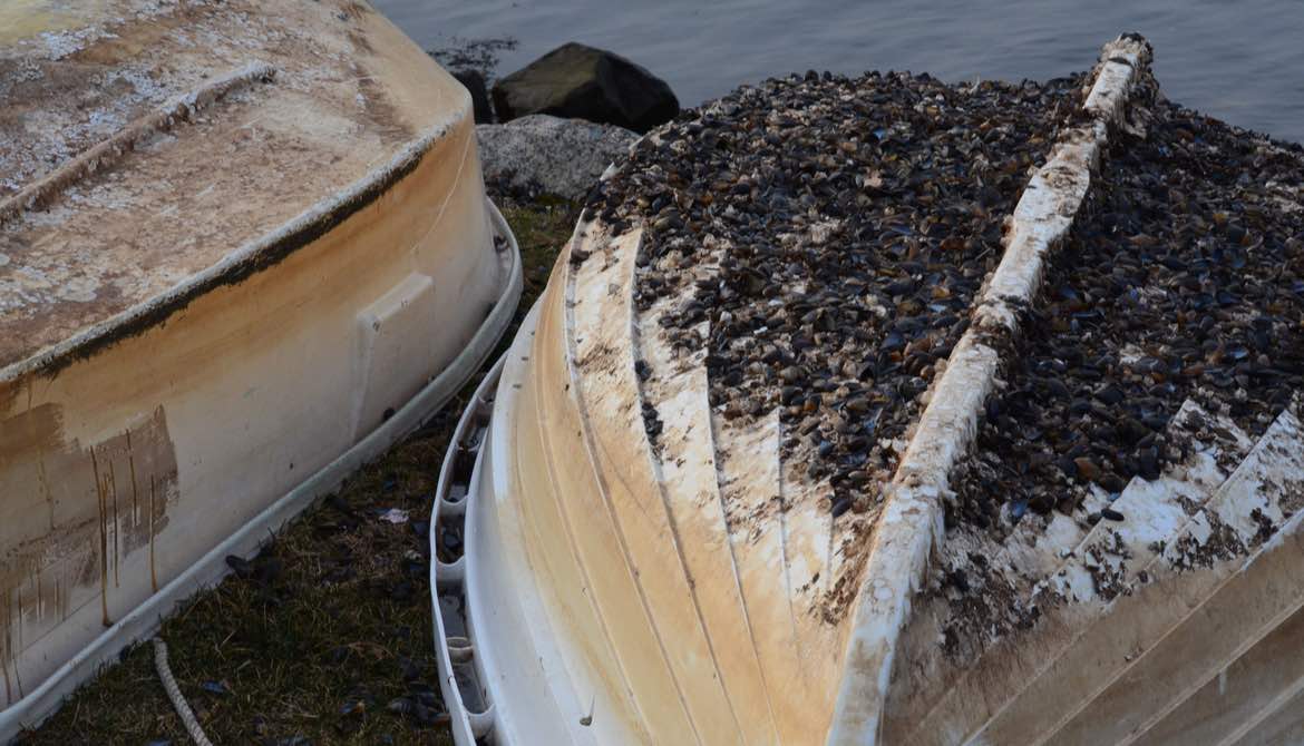 boat with barnacles on bottom