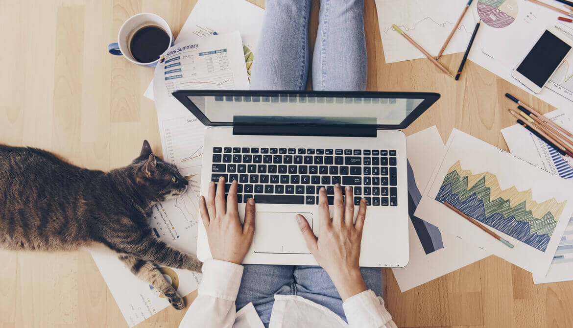 Busy marketer working from home with her cat