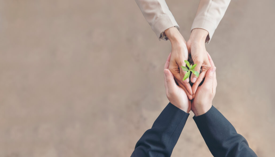 business leader hands supporting employee hands cupped around soil and growing seedling