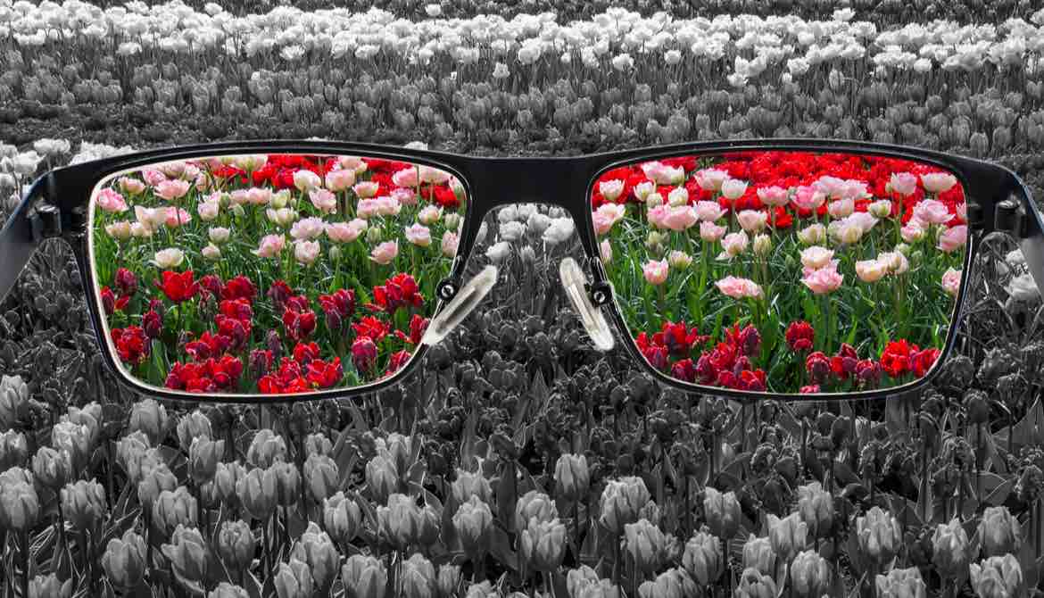 glasses colorize black and white roses