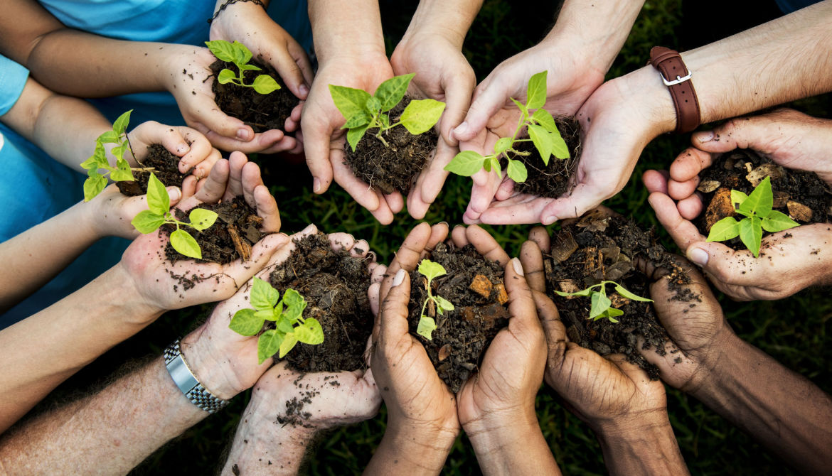 diverse group nurturing a plant