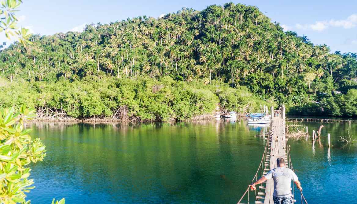 man suspension bridge nature