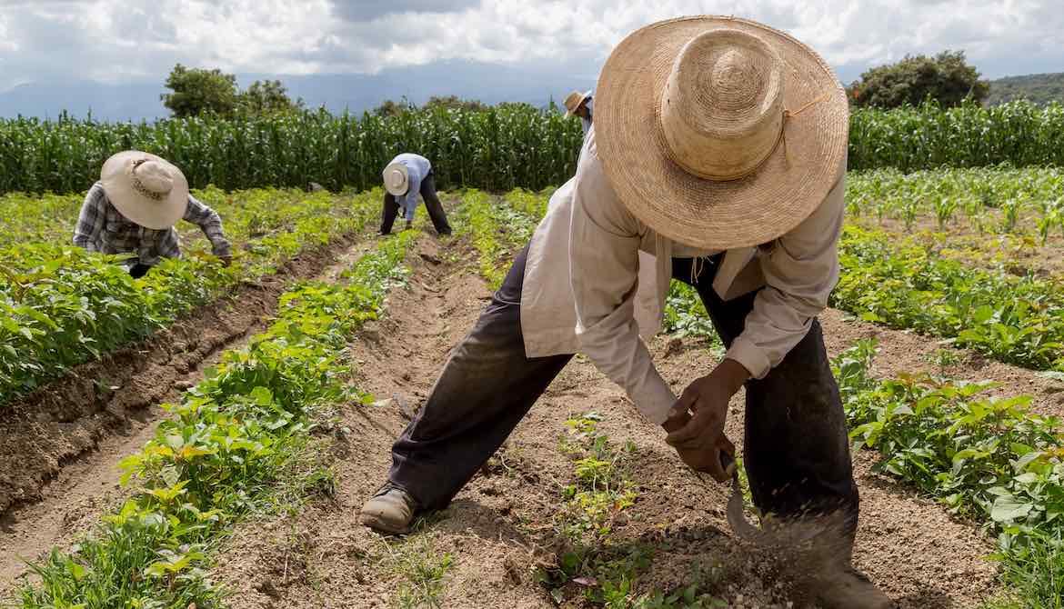 farm workers