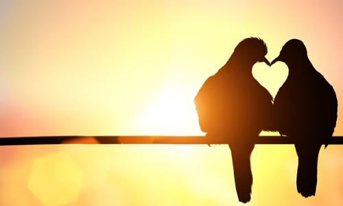 Silhouette of two birds on a wire forming a heart shape