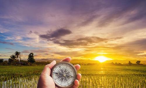 hand holding compass in a field with sunset in the background