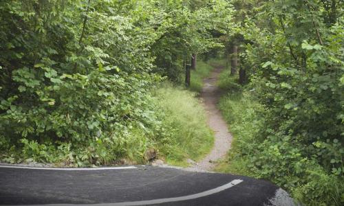 road ending at a trail in the forest