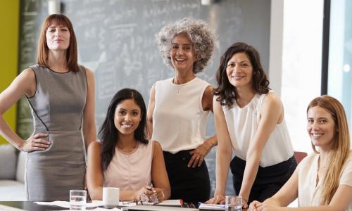 diverse group of female board directors