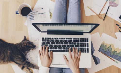 Busy marketer working from home with her cat