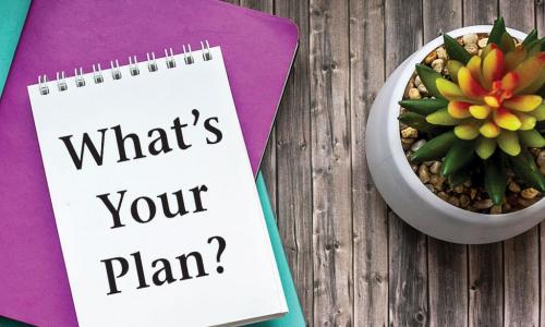 spiral notebook with words What’s Your Plan stacked on purple and teal books next to potted succulent plant