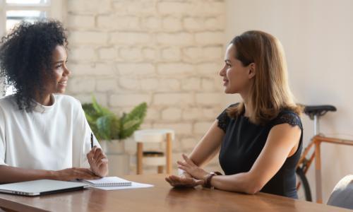 young female employee meeting with smiling Black female manager