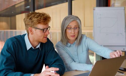 gray-haired executive mentoring young professional