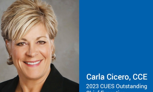 Outstanding Chief Executive Carla Cicero